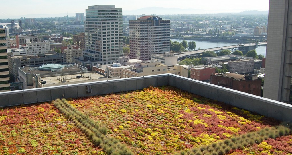 greenroof_Portland_web