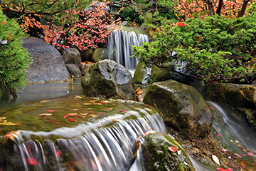 pond_beauty_WEB