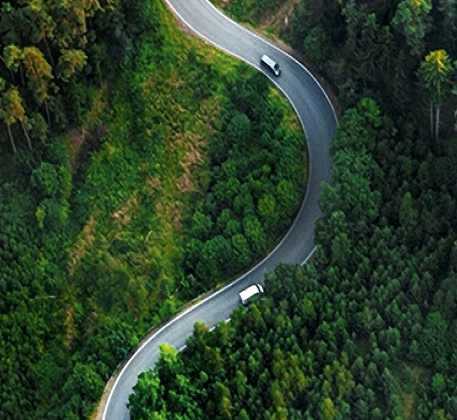 Aerial View Of Winding Road Amidst Trees